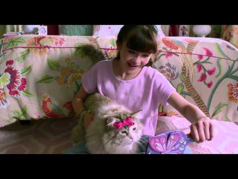 Trailer en español de Siete vidas - Este gato es un peligro