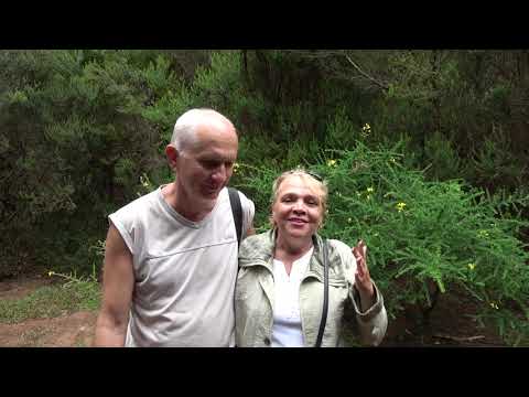 Отзыв об экскурсии с Константином Гавришенко от 04.09.2019