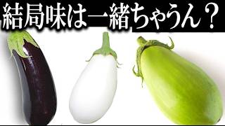 【検証】３色の全く異なるナスは味も全く違うのか？食べ比べ焼きナスパーティーじゃああああああ！！！！！【青ナス・白ナス・紫ナス】