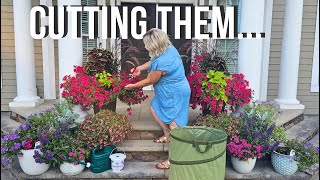 4 Steps to Revive Your Tired Summer Containers | Bring your Annuals Back Fast!
