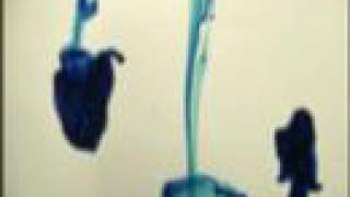 Somatic Responses Wherever Video Artwork - food dye & water