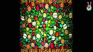 The 13th Floor Elevators - 06 - Reverberation (by EarpJohn)