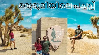 മരുഭൂമിയിലെ പച്ചപ്പ്||Joshua Tree National Park||California||USA Malayalam Vlog||EastToEast||