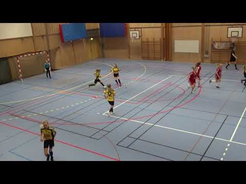 Fair Play Futsal Cup Flick U HSK 2 vs Ingarö Del 2012