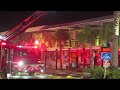 'They didn't deserve this': Several animals killed in fire at Florida wildlife center