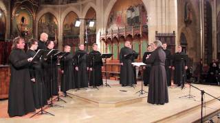 Black Raven | Russian Patriarchate Choir | Anatoly Grindenko direction [HD, Stereo]
