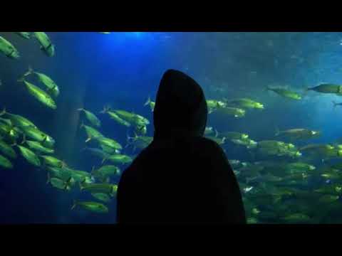 [FREE] Népal x Nekfeu Type Beat "Come Back" (Prod. Layonback)