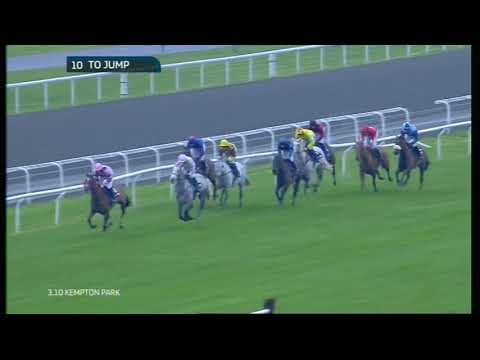 2014 King George VI Chase