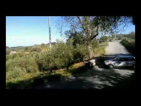 RALLY TINDARI TESTACODA !!