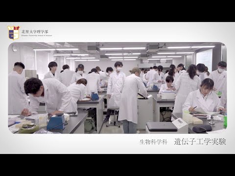 海洋生命科学科 北里大学理学部 実習紹介 遺伝子工学実験