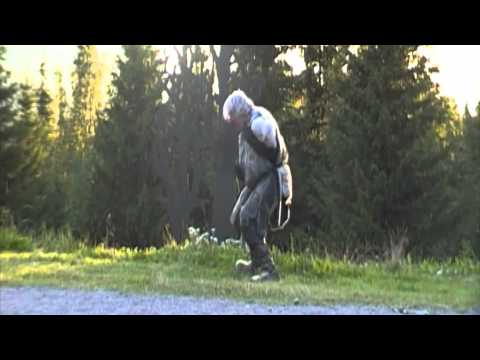 Sven wollter En Midsommarnattsdröm