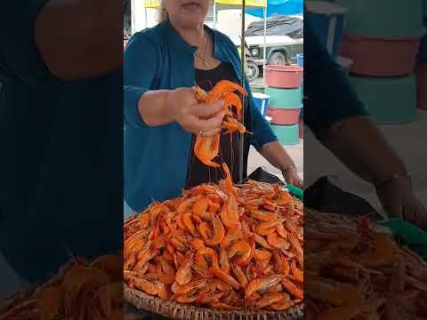 feira dos peixes de palmeira dos índios Alagoas