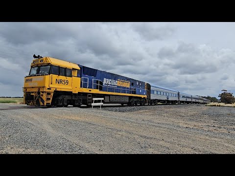 1AM8 up JBRE The Overland (NR59, 7V), Adelaide to Melbourne, 1415, 16/11/25, Murtoa West VIC 