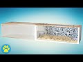 DIY Hamster Cage Double Billy Cage Read Description Below Before Building