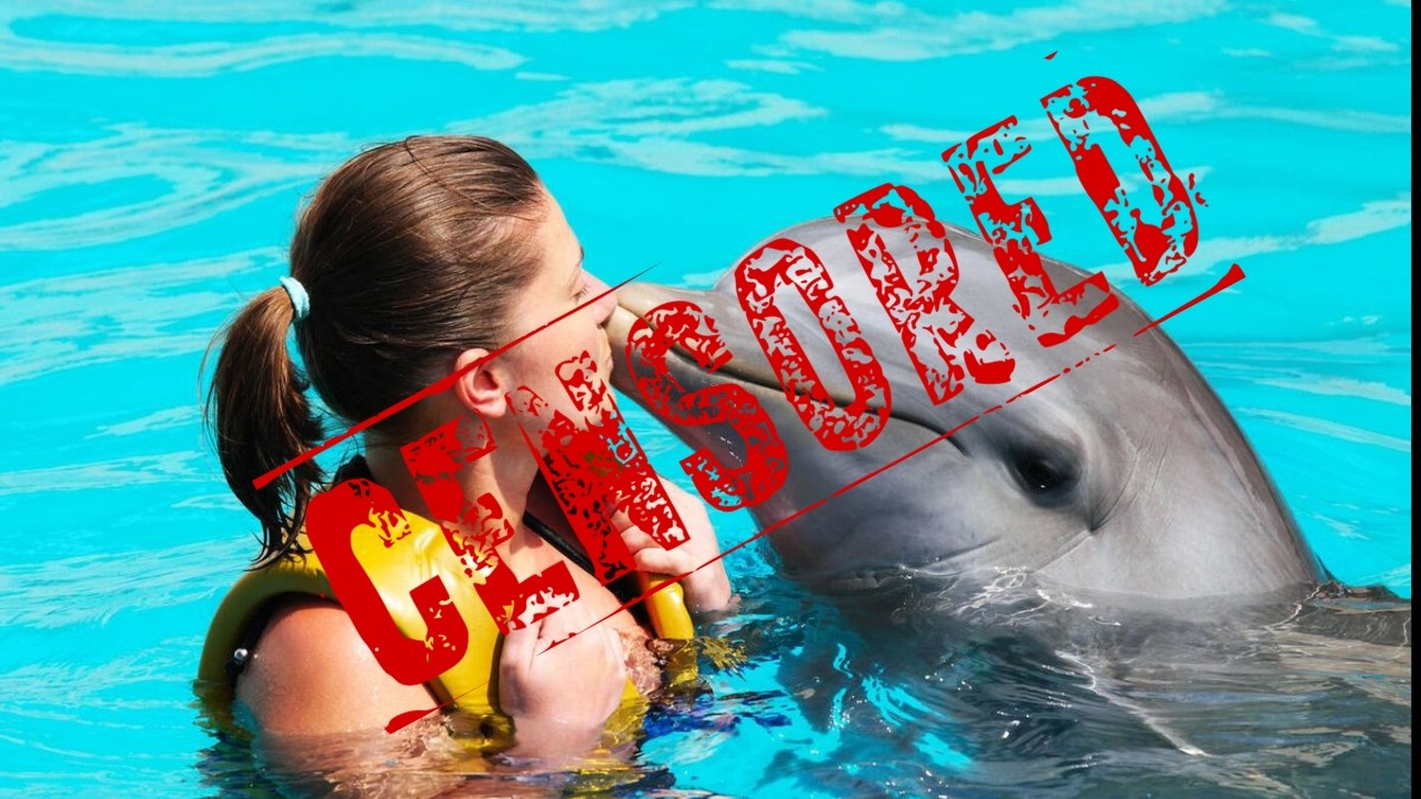 POR ESTO ESTA PROHIBIDO CONTACTAR CON LOS DELFINES