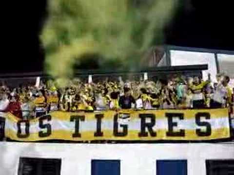 "Criciúma 1x1 Jec Daleee daleee eooo tigrão eu sou..." Barra: Os Tigres &bull; Club: Criciúma