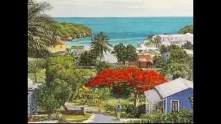 Artists of the Bahamas - Eddie Minnis