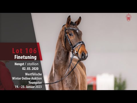 Winter Online-Auktion Lot 106 Finetuning Hengst v. Fürst Samarant - Laudabilis