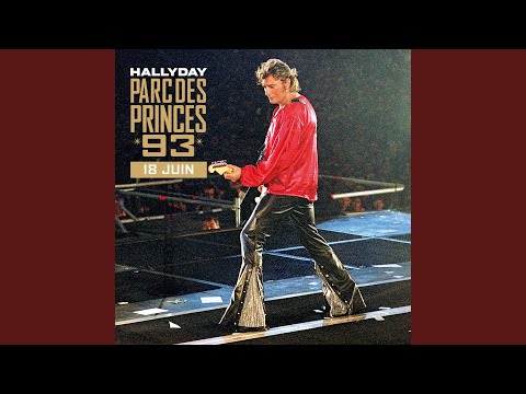 Videoclip de La fille de l'été dernier (Live au Parc des Princes / 19 juin 1993) — Johnny Hallyday