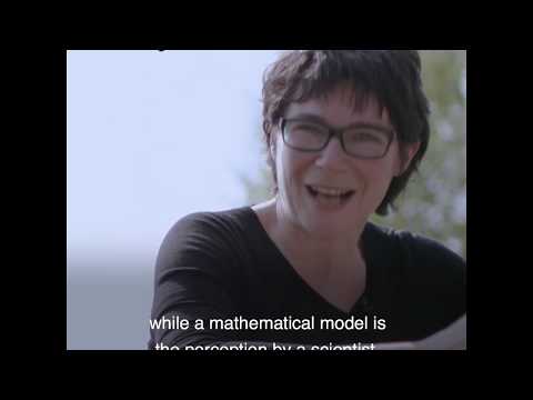 NEWTON-g: How can computer modelling be used to improve volcanic eruption forecasting?