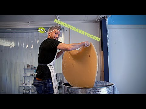 Quna Kombucha- Följ med en dag i bryggeriet