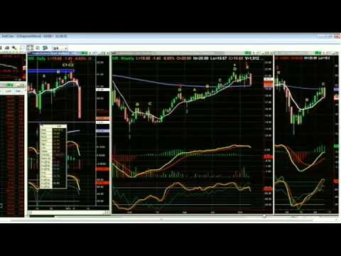 November 7th Tiger Technicians Hour with Basil Chapman