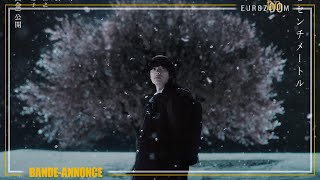 5 CENTIMÈTRES PAR SECONDE - TEASER