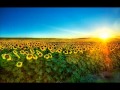 New York Voices - Top Secret 