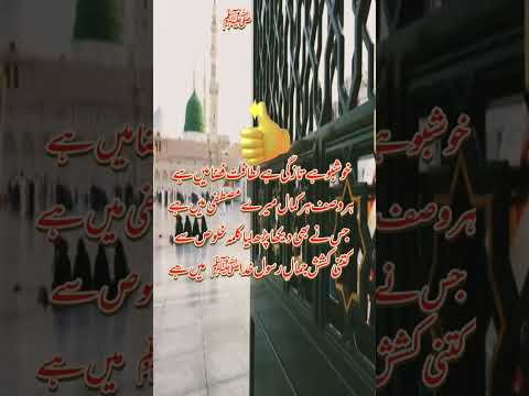 Naatia Poetry in Urdu|Islamic Poetry Status#shorts