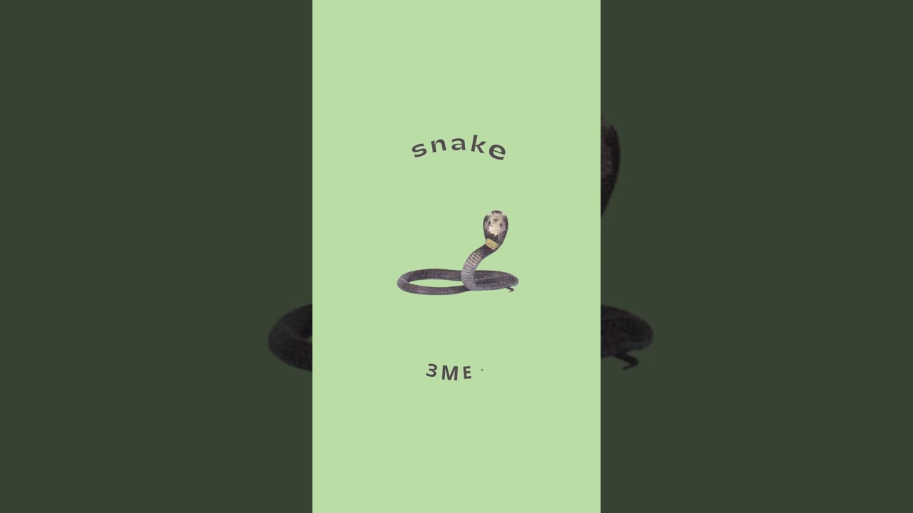 Spotlight 5 - Starter, Alphabet (2)