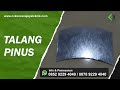 talang getah pinus - alat sadap getah 3