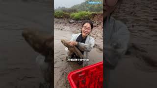 Download lagu Jangan Remehkan! Cewek Cantik Ini Jago Tangkap Ikan Pakai Tangan Kosong! #mancing #viral  #trend mp3