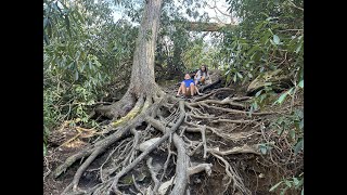 Tennessee Great Smoky Mountains, Dollywood, April 2024