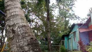 preview picture of video 'PARKOUR TURRIALBA,COSTARICA.( El mora ).'