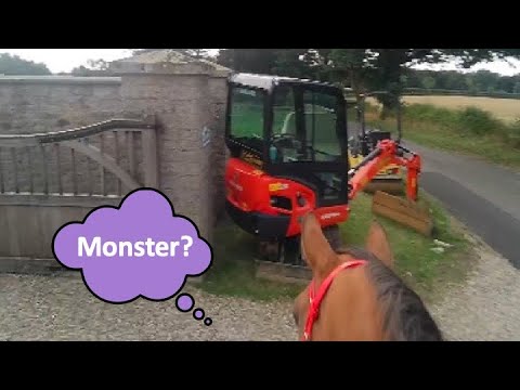 "Trouble at t' Mill" 🥺   Farouk getting ready for the Coral Ride 🏇🏼😊