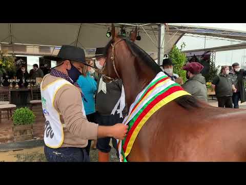 Coberturas Basco Domero Por Elas 2022