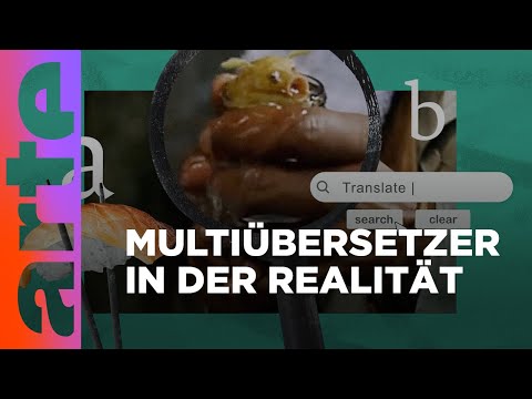Kann ein Babelfisch unsere Konflikte lösen? | Kultur erklärt - Flick Flack | ARTE