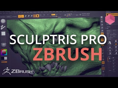 Using Sculptris Pro in ZBrush 2018