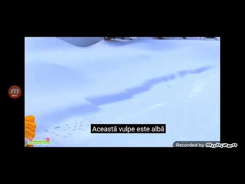 ALBA,ALBA ALBA,CIORILE SUNT NEGRE,ANVELOPELE SUNT NEGRE