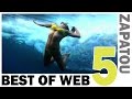 Best of Web 5 - HD - Zapatou 
