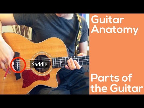 Parts of the Guitar | Guitar Anatomy | Video Guitar Lesson