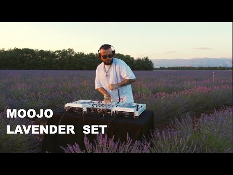 Moojo - Lavender Set
