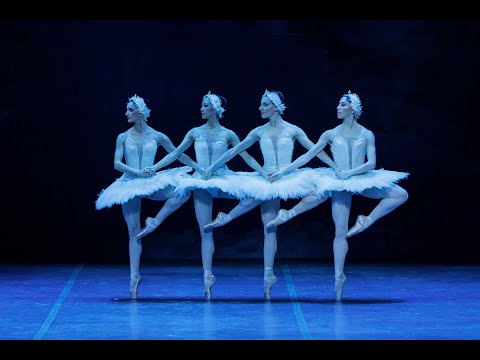 Swan Lake | The Cygnets