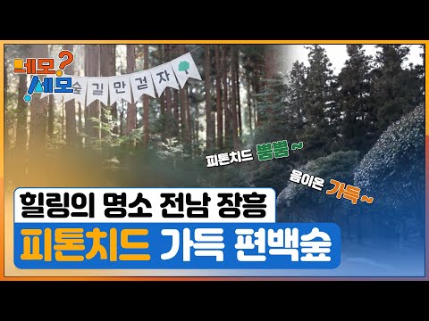 [네모세모] 풍경있는 여행 전남 장흥