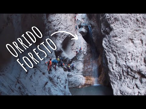 Ferrata Orrido di Foresto