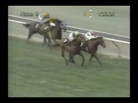 1994 San Gabriel Handicap