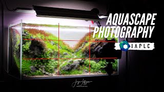 Watch this before taking your #IAPLC2021 Picture - The Aquascape Photography GUIDE