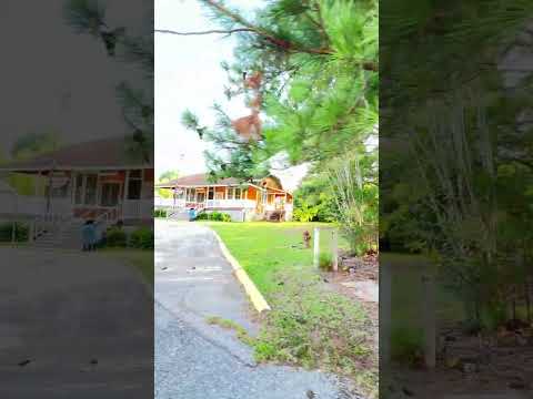 Vredenburgh Alabama #history