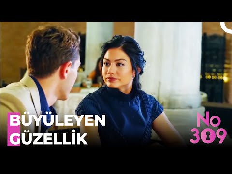 Lale'nin Göz Kamaştıran Güzelliği - No:309