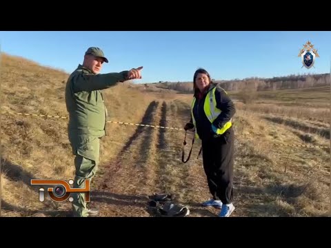 Дайджест происшествий